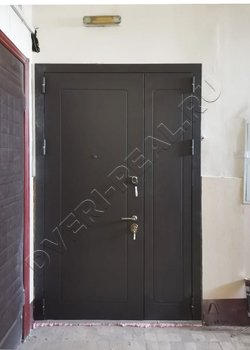 Металлическая входная дверь РД-2024056