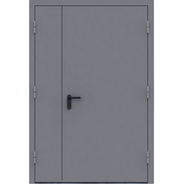 Дверь полуторная металлическая РД-2220 по цене от 14000 рублей