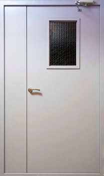 Дверь в подъезд с окном РД-2219
