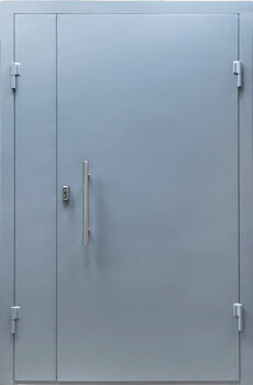 Дверь входная металлическая двухстворчатая РД-2209 длинная ручка