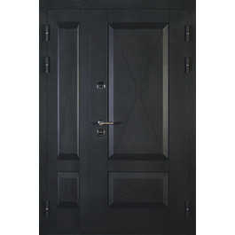 Двухстворчатая дверь с порошковым напылением РД-2117 черная по цене от 43000 рублей
