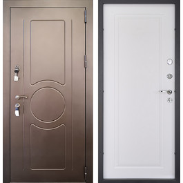 Морозостойкая дверь порошок+МДФ РД-2609 цвет коричневый по цене от 37700 рублей