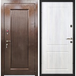 Морозостойкая входная дверь с порошковым окрасом и МДФ РД-2749 по цене от 38900 рублей