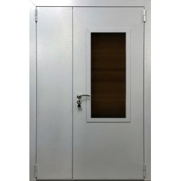 Стальная двустворчатая дверь со стеклом РД-2213 по цене от 18900 рублей