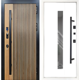 Стальная термостойкая дверь с биометрическим замком РД-2672 по цене от 38400 рублей