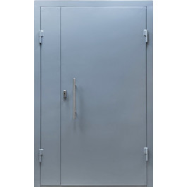 Стальная входная дверь в подъезд РД-2199 по цене от 16900 рублей