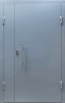 Стальная входная дверь в подъезд РД-2199