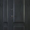 Двухстворчатая дверь с порошковым напылением РД-2117 черная