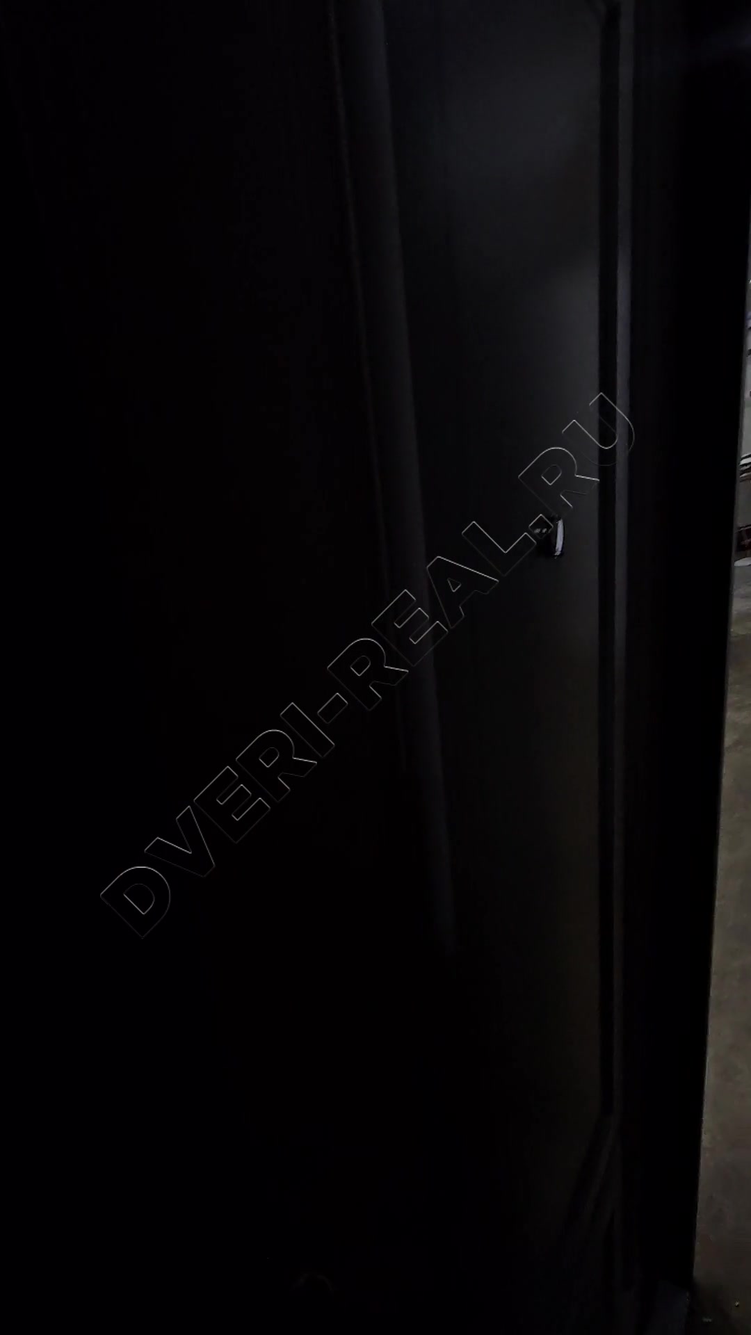 Металлическая входная дверь РД-114239 (фото №4)