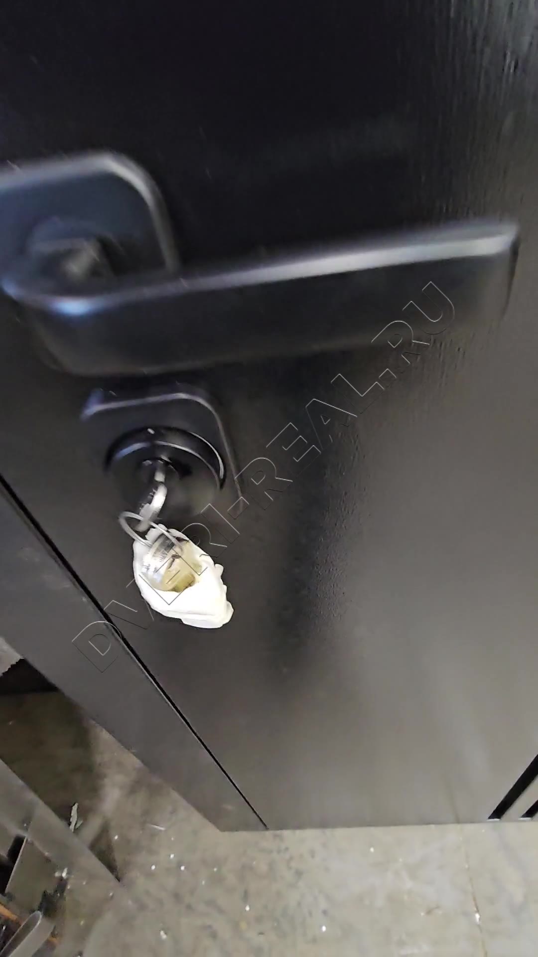 Металлическая входная дверь РД-095152 (фото №4)