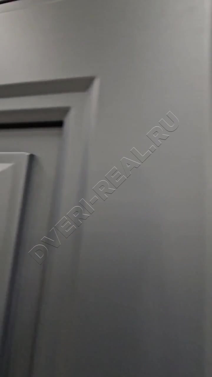Металлическая входная дверь РД-093108 (фото №3)