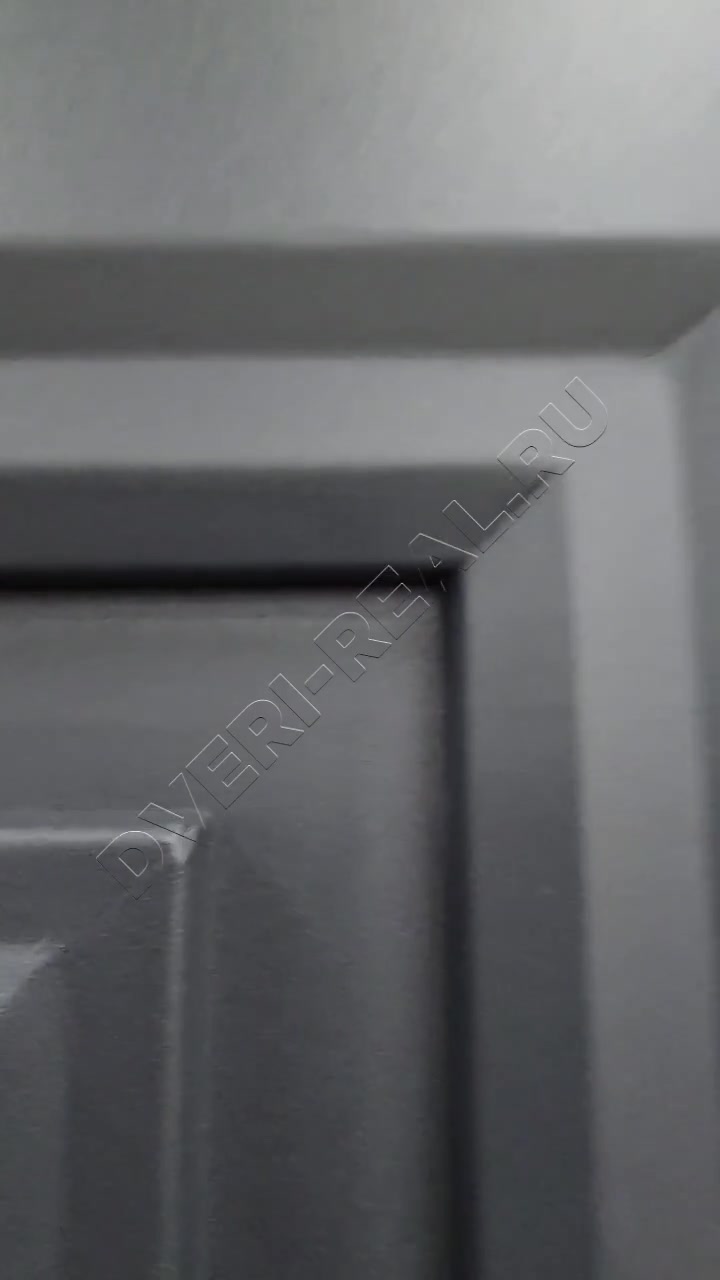 Металлическая входная дверь РД-093108 (фото №4)