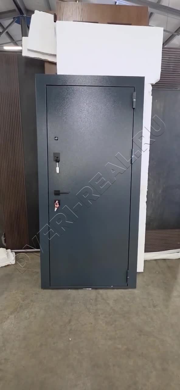 Металлическая входная дверь РД-093113 (фото №1)