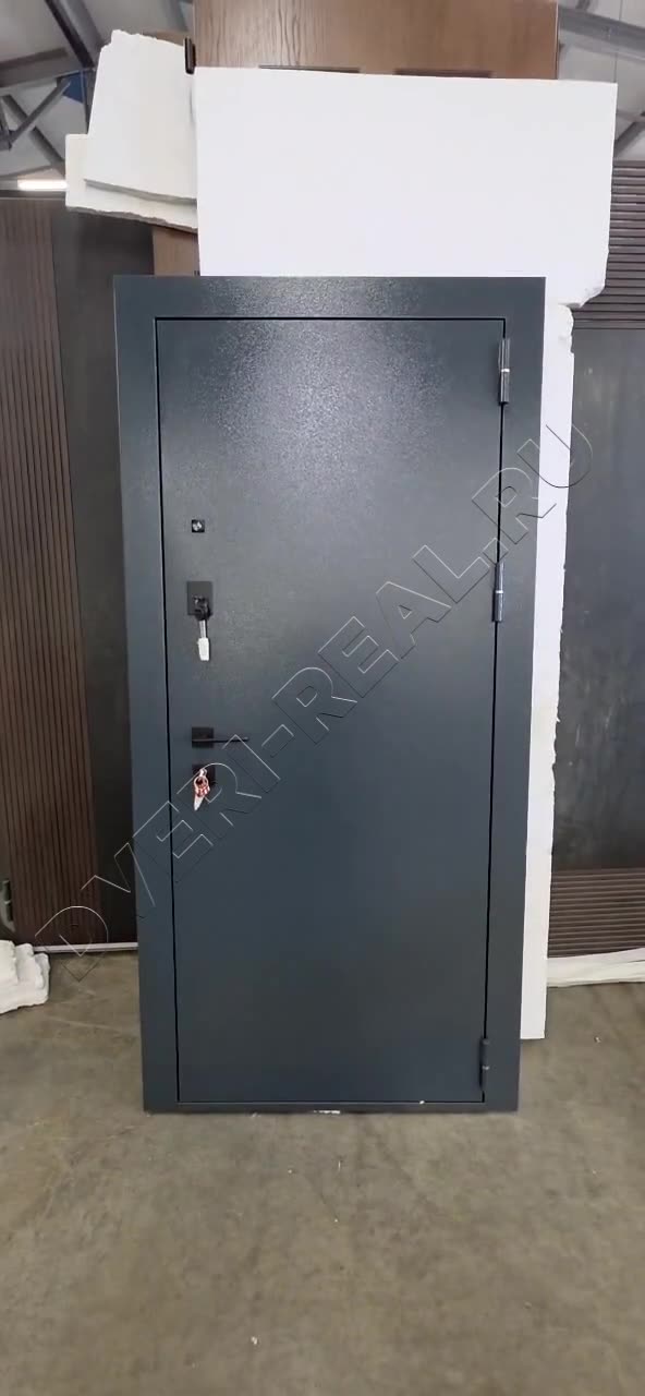 Металлическая входная дверь РД-093113 (фото №2)