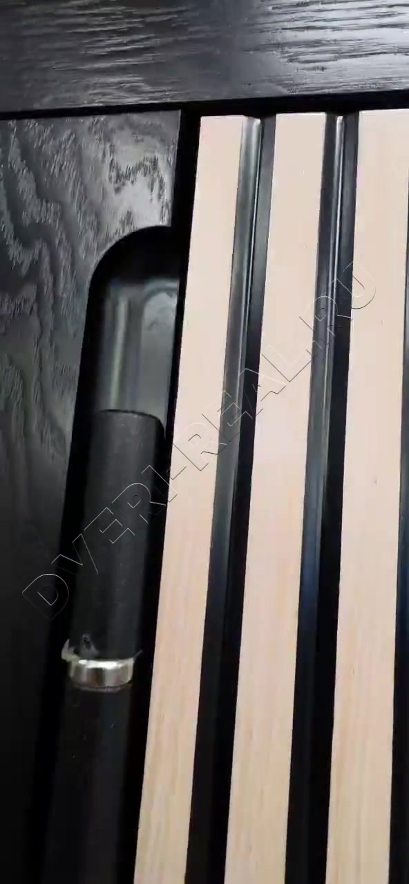 Металлическая входная дверь РД-093098 (фото №4)