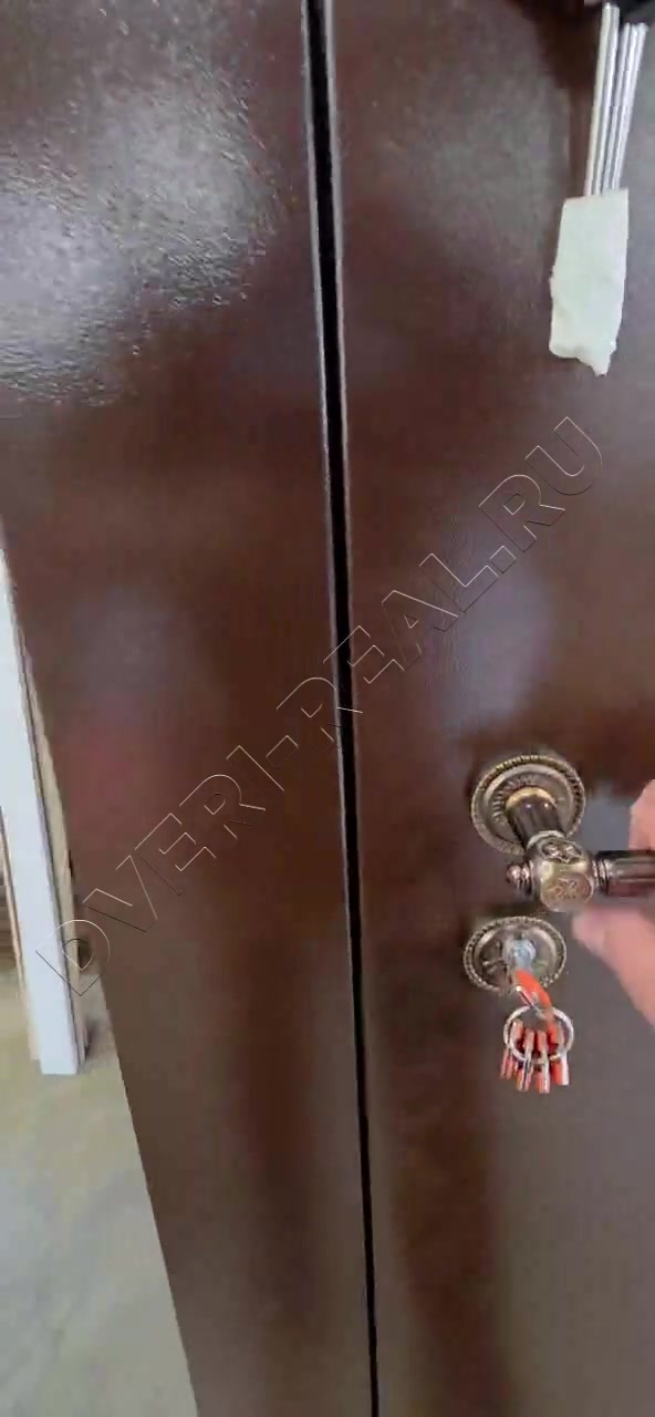 Металлическая входная дверь РД-093321 (фото №5)