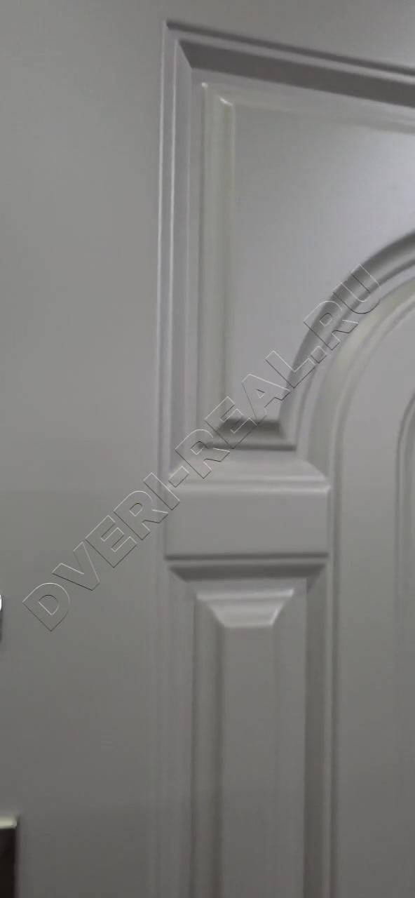Металлическая входная дверь РД-093345 (фото №6)